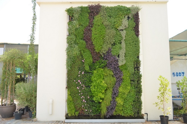 Biowall at Acacia