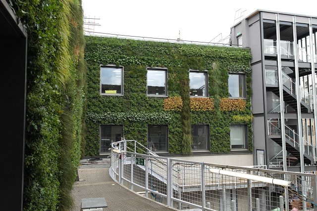 Green wall being installed at MTV Camden