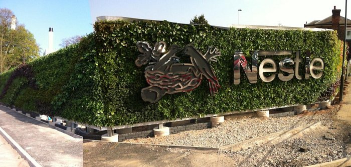 Nestle Living Wall in final stages of installation. Design by Mark Laurence.