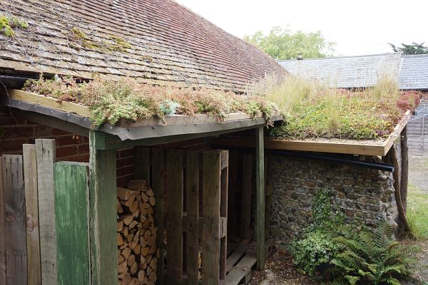 green_roofs