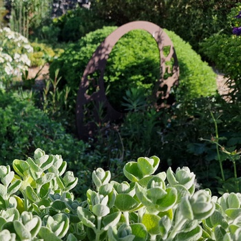 planting adapted to changing weather patterns