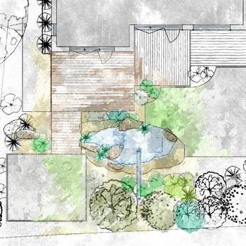 drought-tolerant, natural garden design