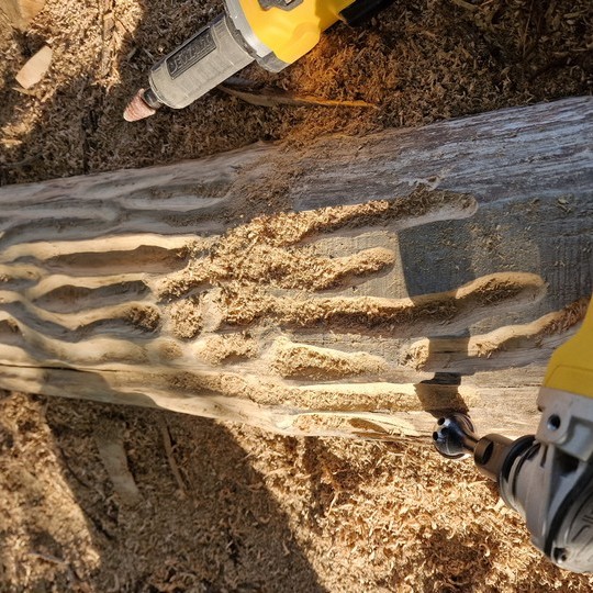 deadwood art for ecology