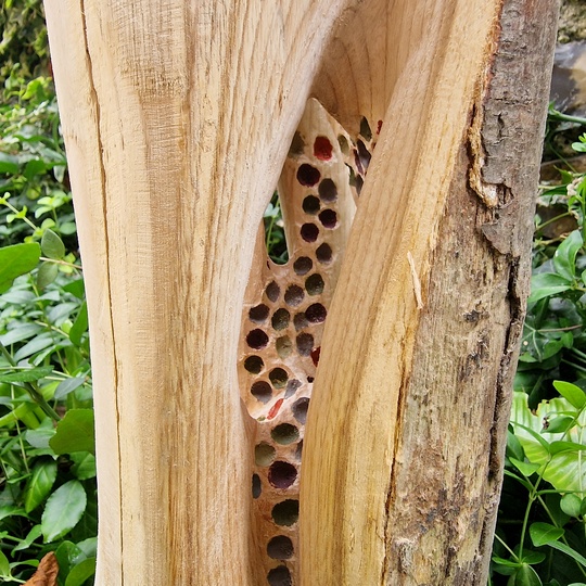 deadwood art for ecology