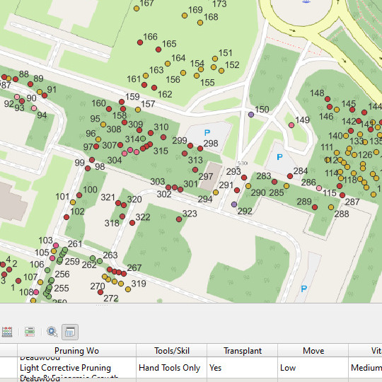 tree survey in Abu Dhabi