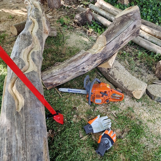 deadwood art for ecology