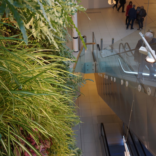 Living walls in a Shopping Mall, Hamar, Norway