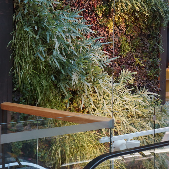 Living walls in a Shopping Mall, Hamar, Norway