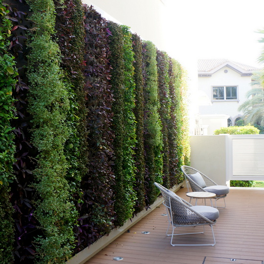 Exterior living wall Palm Jumeirah, Dubai