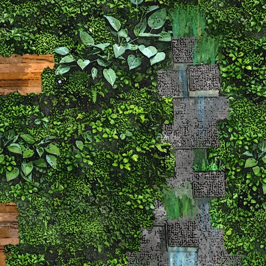 aquatic emergent plants design