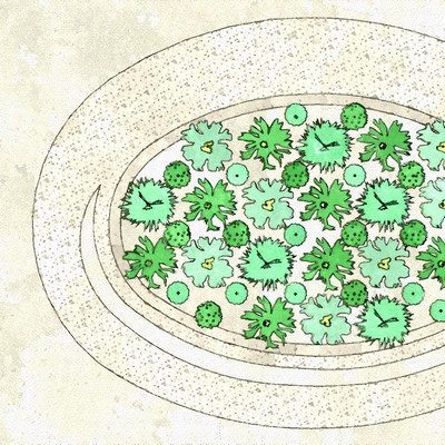 urban arid ecosystem design