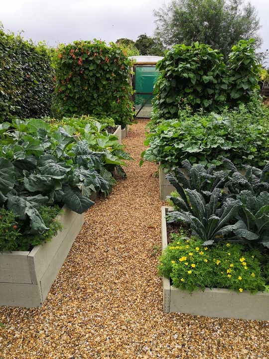 Raised no-dig veggie beds are functional and beautiful