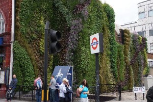 Green Wall at Edgware Road