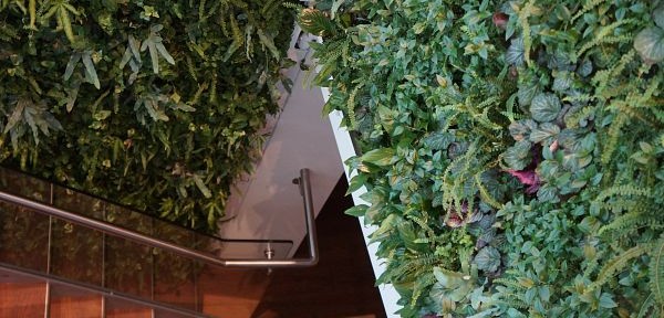 New Interior Living Walls at Wilson Street, London