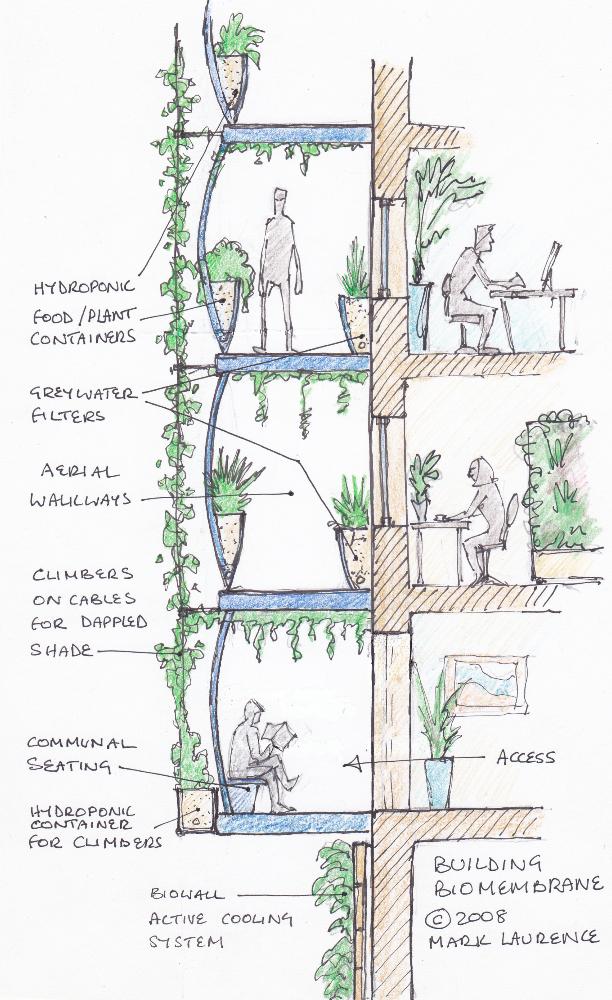 Vertical "biomembranes" give us vertical landscapes, satisfy our love for nature - biophilia and deliver ecosystem services