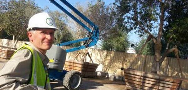 Arboriculture in the UAE