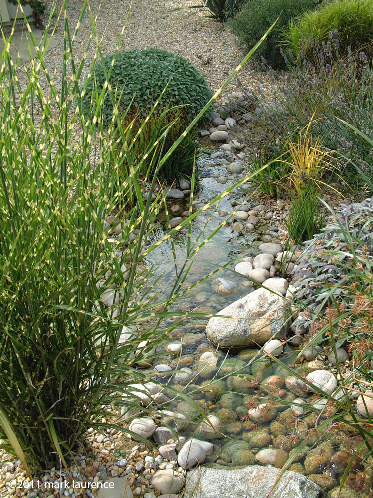 A stream runs through a gravel-garden