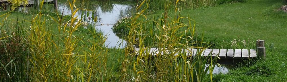 Naturalistic Water Gardens