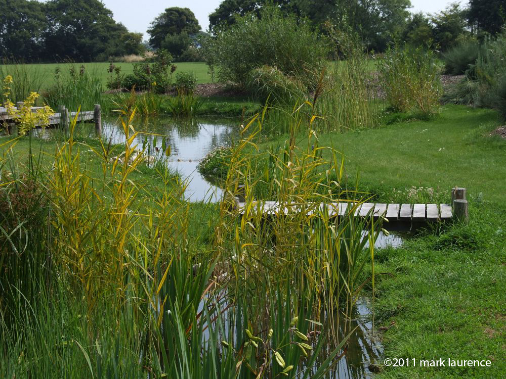 A stream runs down to the pond