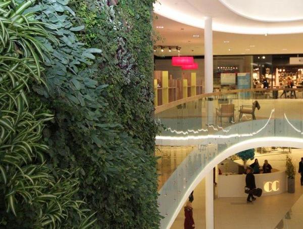 Interior Living wall in Norway, designed by Mark Laurence