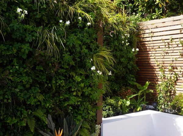 Living Wall in a small courtyard garden by Vertology