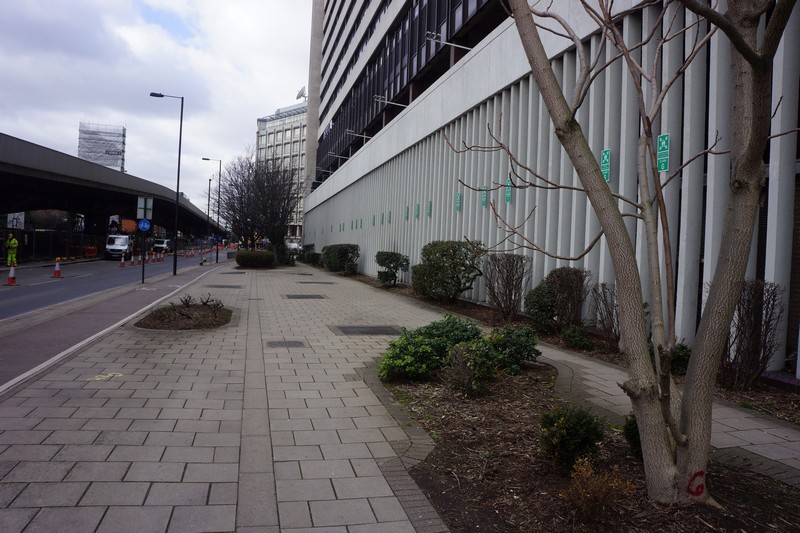 An urban area suitable for natural regeneration