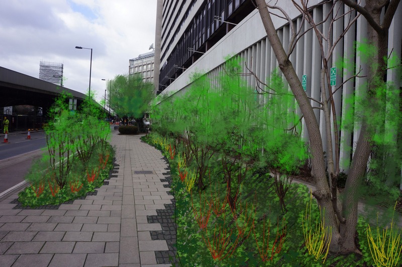Sketch showing regenerative planting