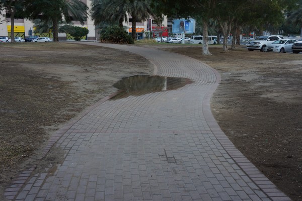 Excess surface irrigation is wasteful.