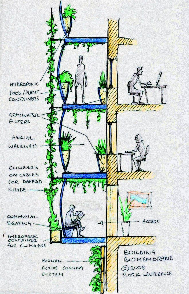 building biomembrane