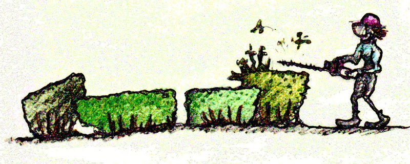 landscape lobotomy