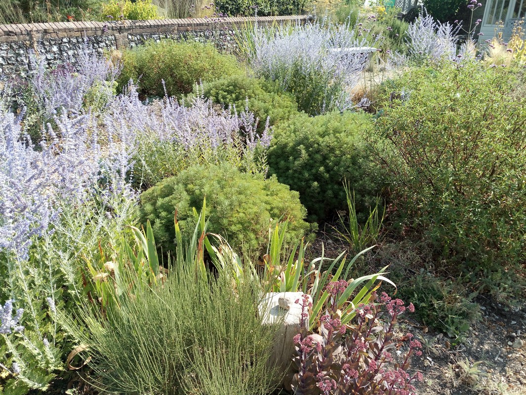 The dry garden - created over the remains of an old driveway