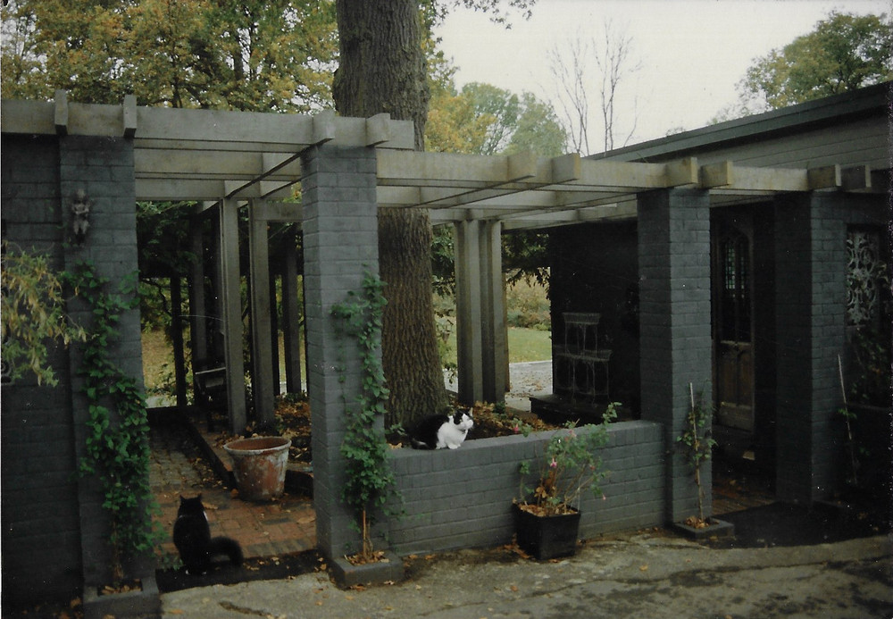 A Wisteria-covered pergola gives a deep connection