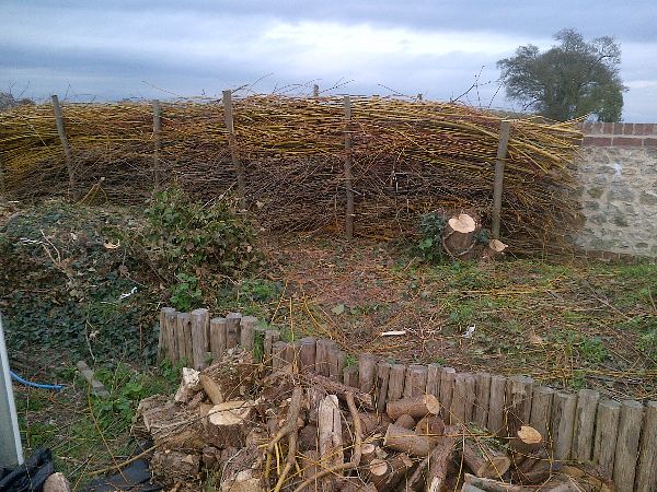 A fedge (fence-hedge) uses biomass grown in the garden to create new boundaries. good for wildlife
