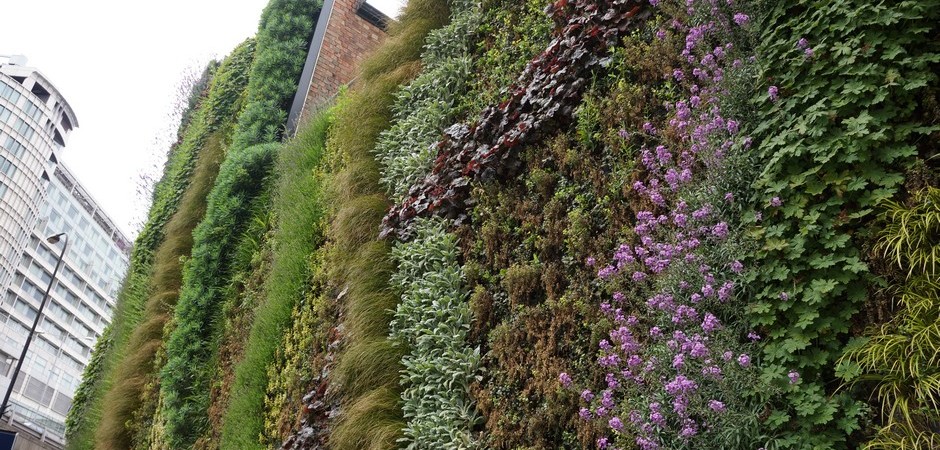 Living walls as part of a building biomembrane