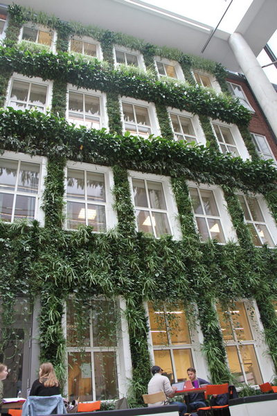 Living wall by Mark Laurence, Trondheim University, Norway