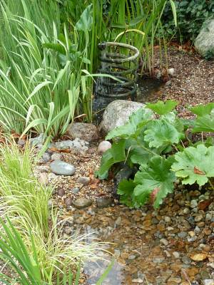 The coil is an old water heater pipe and acts as a fountain - this pond has always been there.