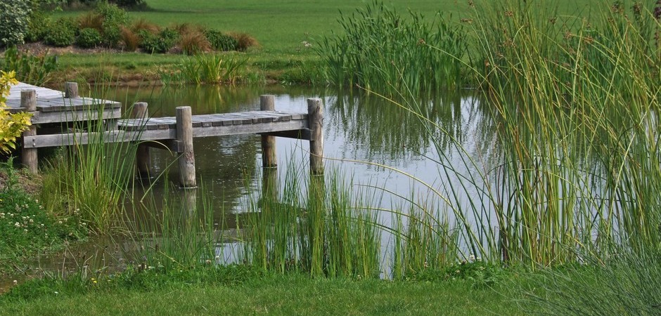 A natural water garden. The stream has built in biofilters to cleanse the water