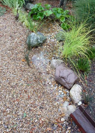 The newly installed raingarden flowing during a downpour