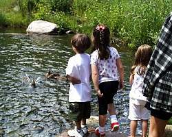 children enjoying the water