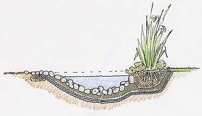 pond profile showing gentle slopes