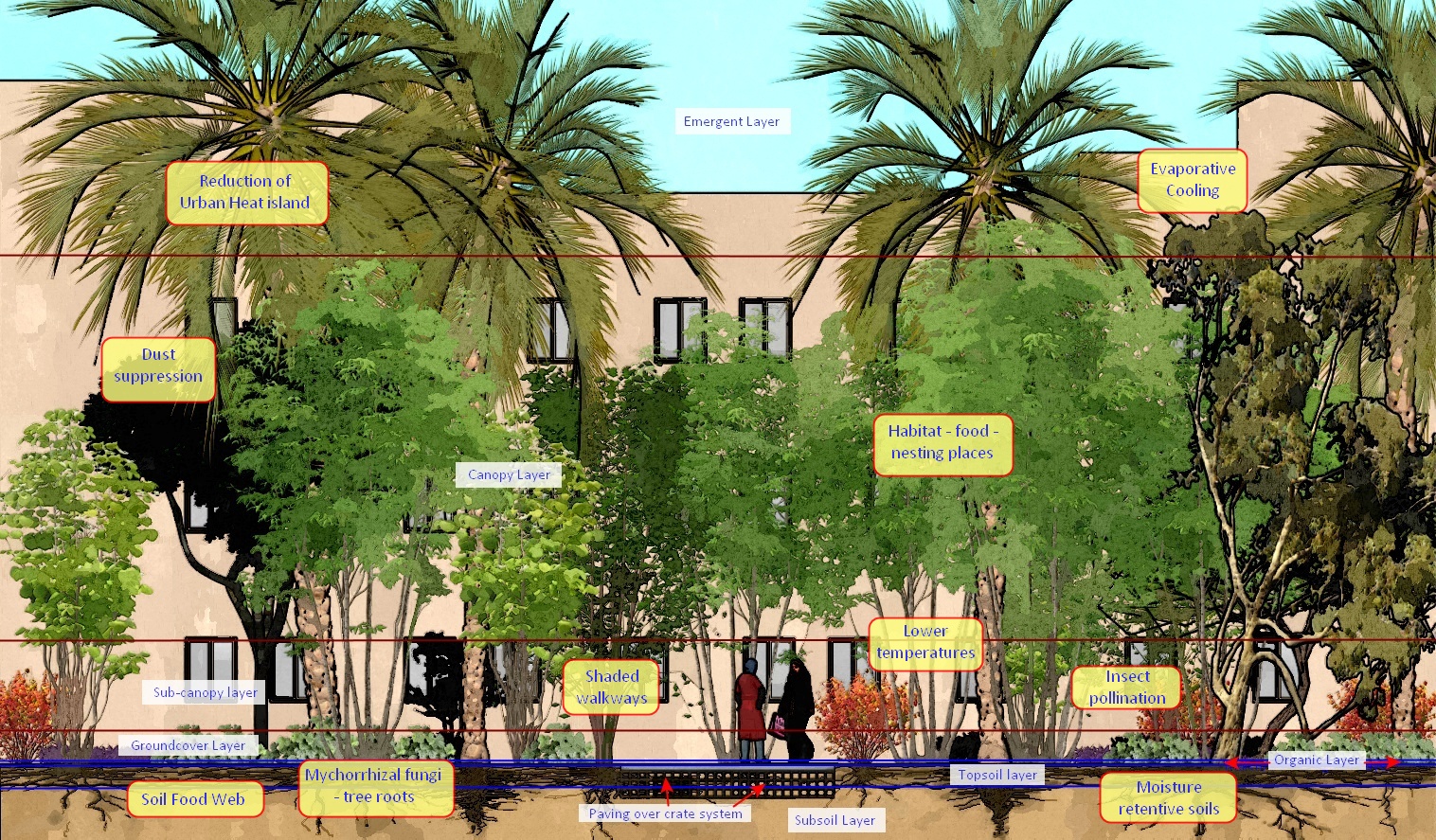 Urban Nature Based Solutions