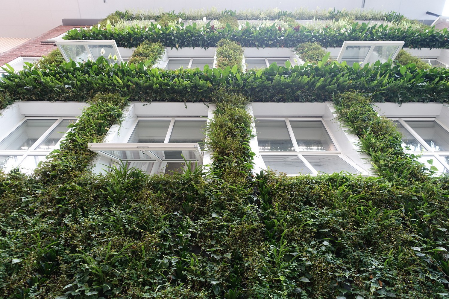 Urban Vertical Green Infrastructure