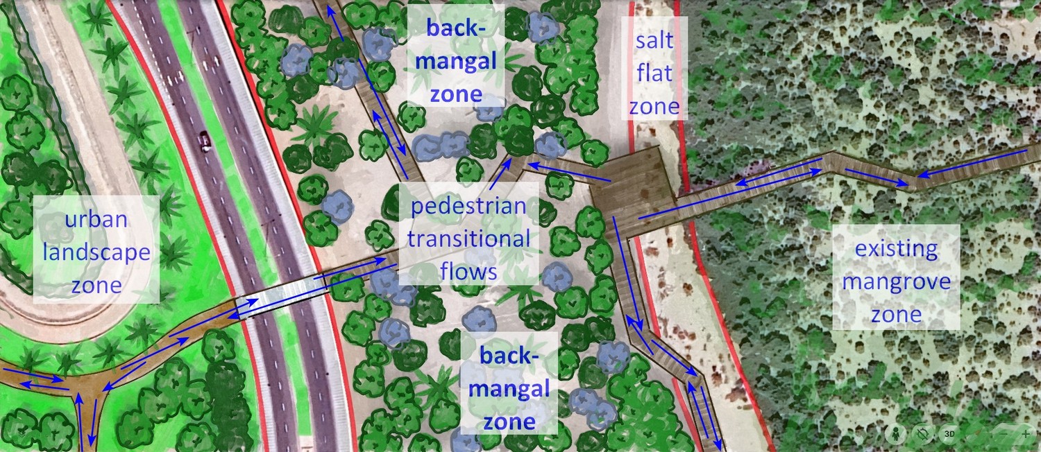 Designing Urban-Coastal Connections with Back Mangrove Plants